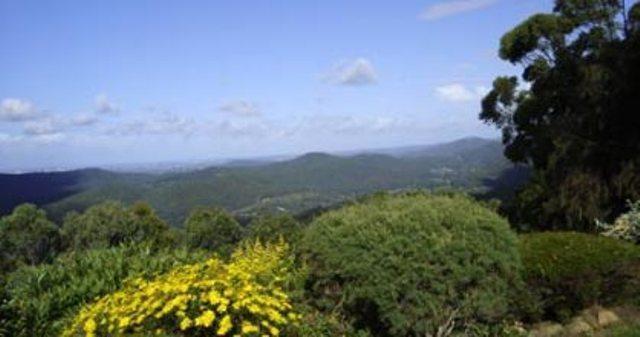 Hillside Country Retreat Bed & Breakfast Gold Coast Eksteriør bilde